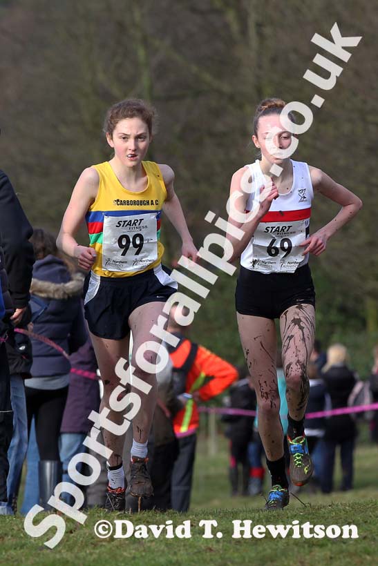 Bronwen Owen (Scarborough) and Rosie Johnson (LIverpool Penbroke) during the under-17 womens Northern Cross Country Champs, Knowsley Safari Park. Photo: David T. Hewitson/Sports for All Pics